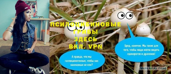гидропоника Армянск